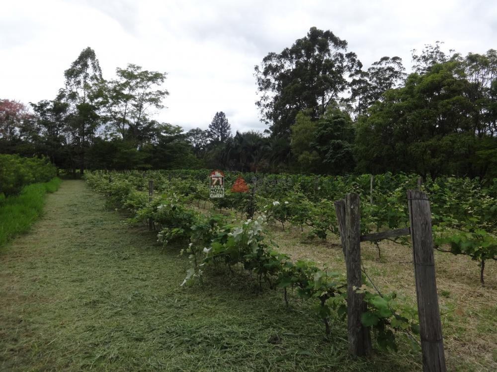 Comprar Rural / Sítio em Pindamonhangaba R$ 1.400.000,00 - Foto 4 Comprar Rural / Sítio em Pindamonhangaba R$ 1.400.000,00 - Foto 4