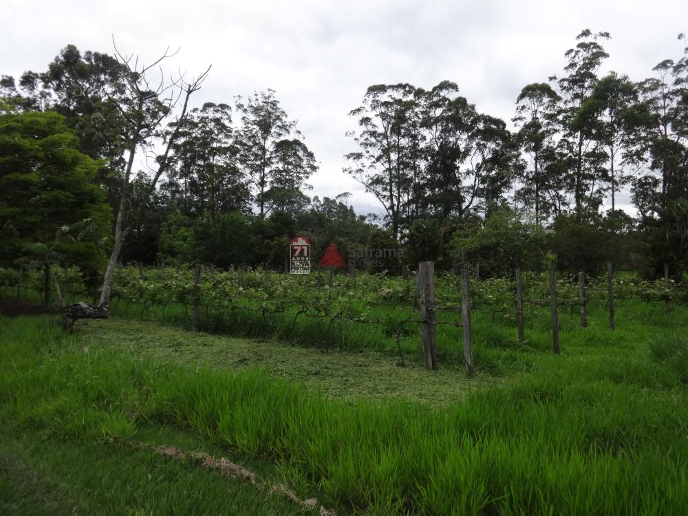 Comprar Rural / Sítio em Pindamonhangaba R$ 1.400.000,00 - Foto 5 Comprar Rural / Sítio em Pindamonhangaba R$ 1.400.000,00 - Foto 5