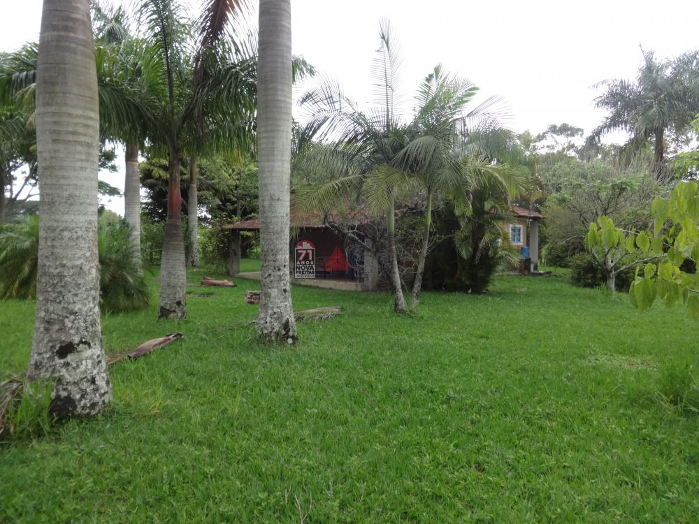 Comprar Rural / Sítio em Pindamonhangaba R$ 1.400.000,00 - Foto 2 Comprar Rural / Sítio em Pindamonhangaba R$ 1.400.000,00 - Foto 2