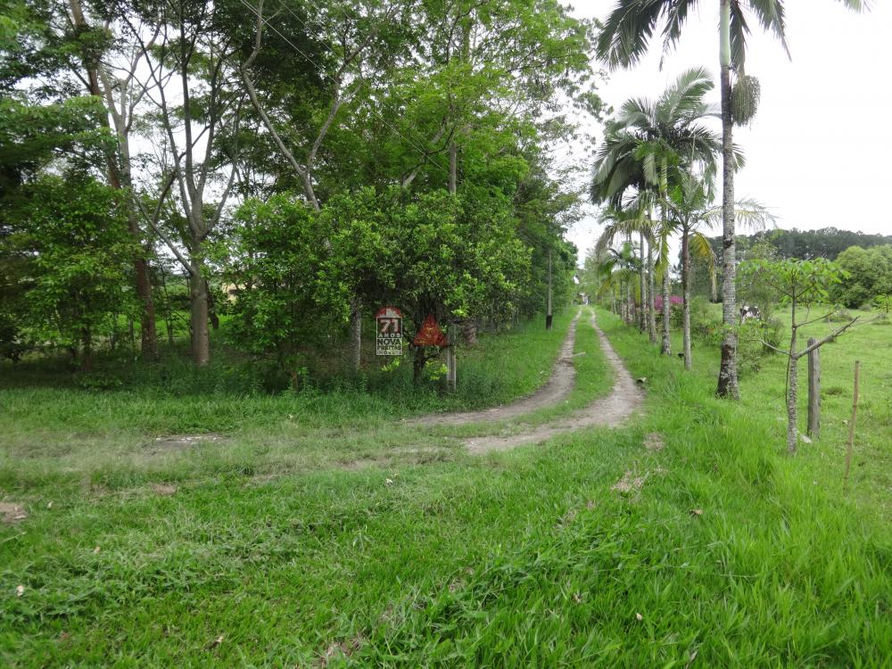 Comprar Rural / Sítio em Pindamonhangaba R$ 1.400.000,00 - Foto 9 Comprar Rural / Sítio em Pindamonhangaba R$ 1.400.000,00 - Foto 9
