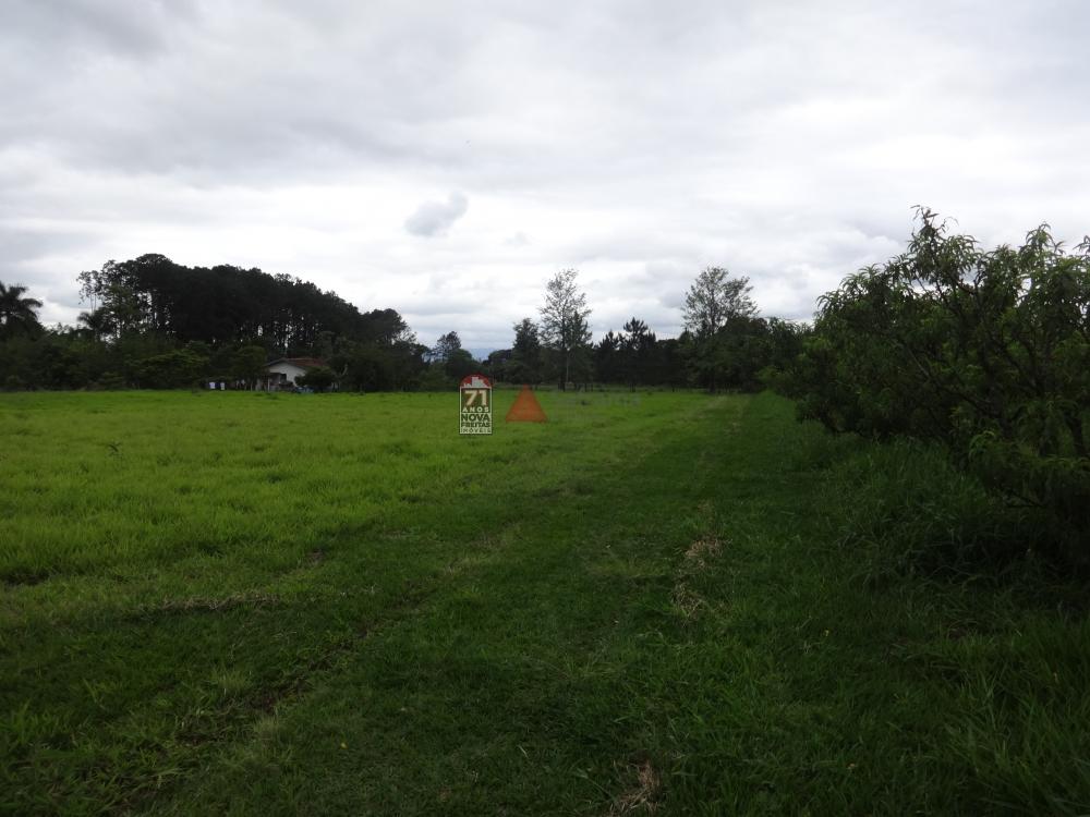 Comprar Rural / Sítio em Pindamonhangaba R$ 1.400.000,00 - Foto 11 Comprar Rural / Sítio em Pindamonhangaba R$ 1.400.000,00 - Foto 11