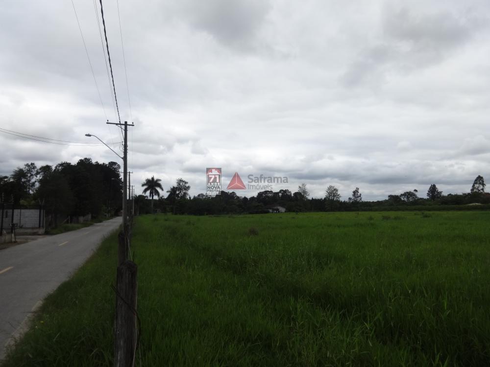 Comprar Rural / Sítio em Pindamonhangaba R$ 1.400.000,00 - Foto 12 Comprar Rural / Sítio em Pindamonhangaba R$ 1.400.000,00 - Foto 12