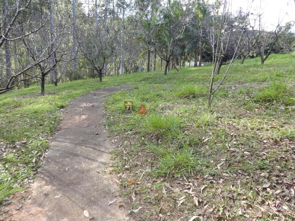 Comprar Rural / Sítio em Taubaté apenas R$ 2.000.000,00 - Foto 15 Comprar Rural / Sítio em Taubaté apenas R$ 2.000.000,00 - Foto 15
