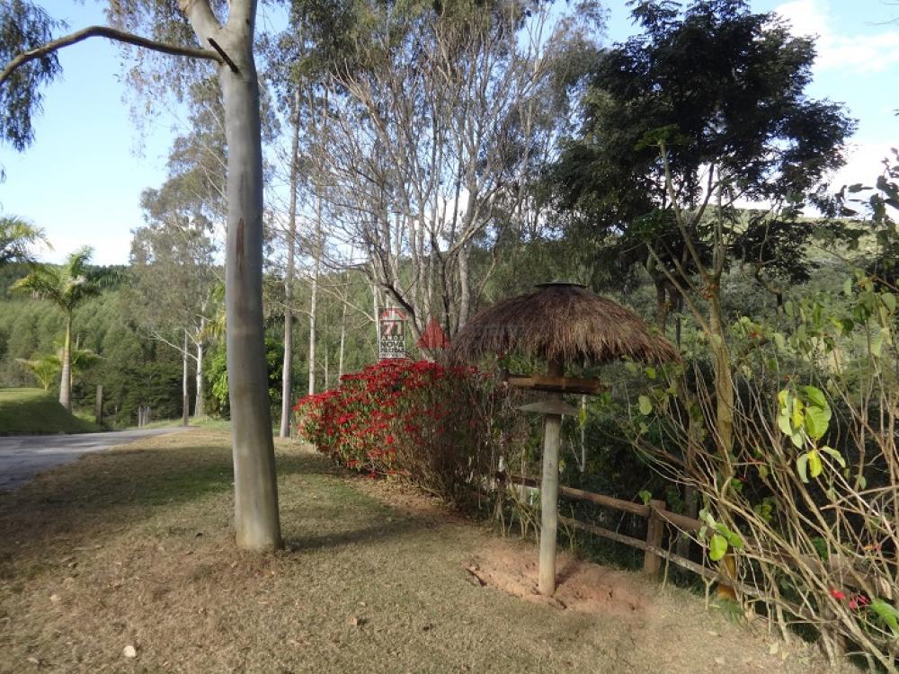 Comprar Rural / Sítio em Taubaté apenas R$ 2.000.000,00 - Foto 16 Comprar Rural / Sítio em Taubaté apenas R$ 2.000.000,00 - Foto 16