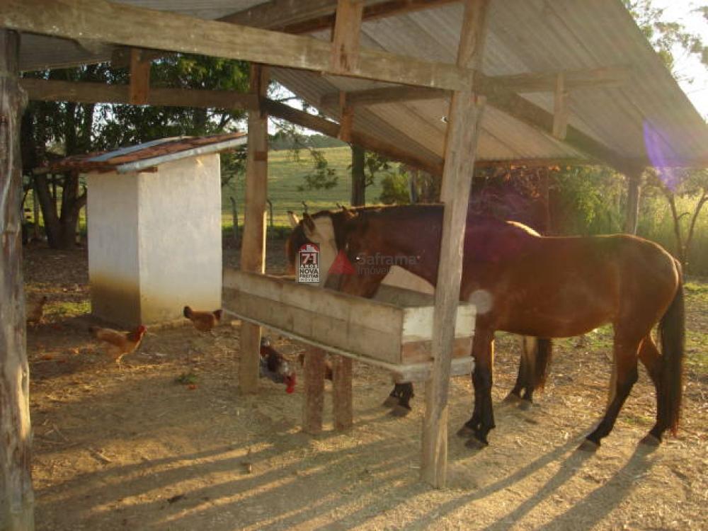 Comprar Rural / Chácara em Pindamonhangaba R$ 1.500.000,00 - Foto 22