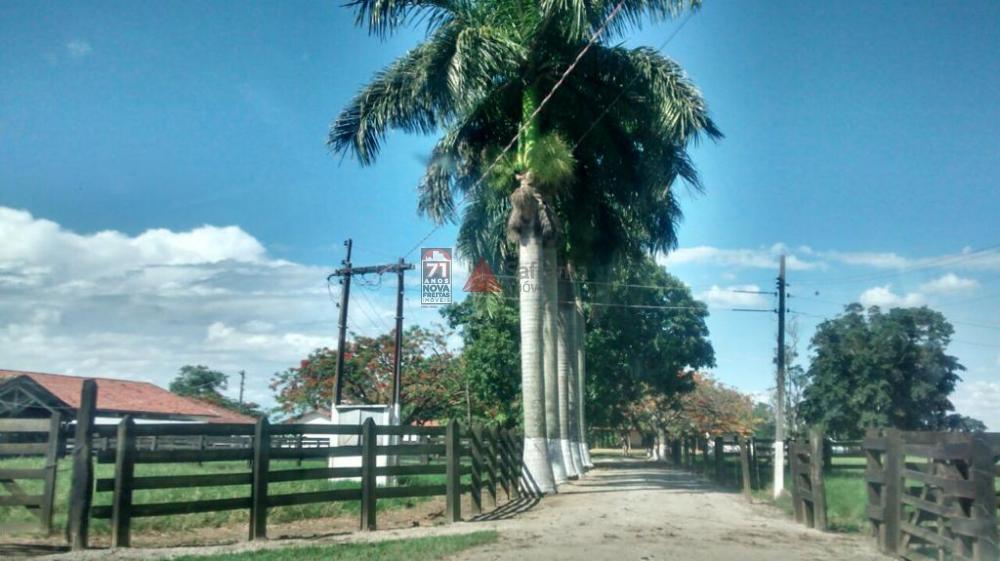 Terreno / Área em Roseira 