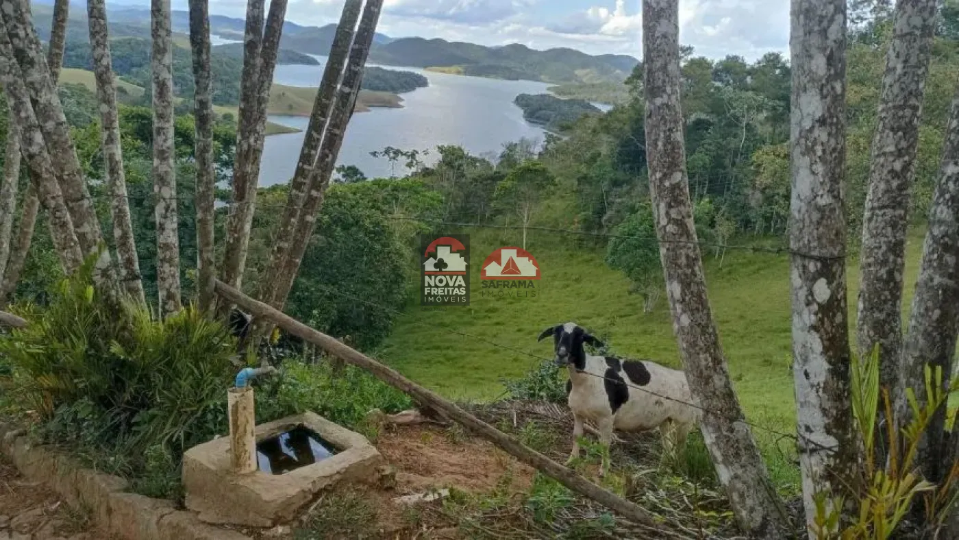 Comprar Rural / Sítio em Paraibuna R$ 2.700.000,00 - Foto 39