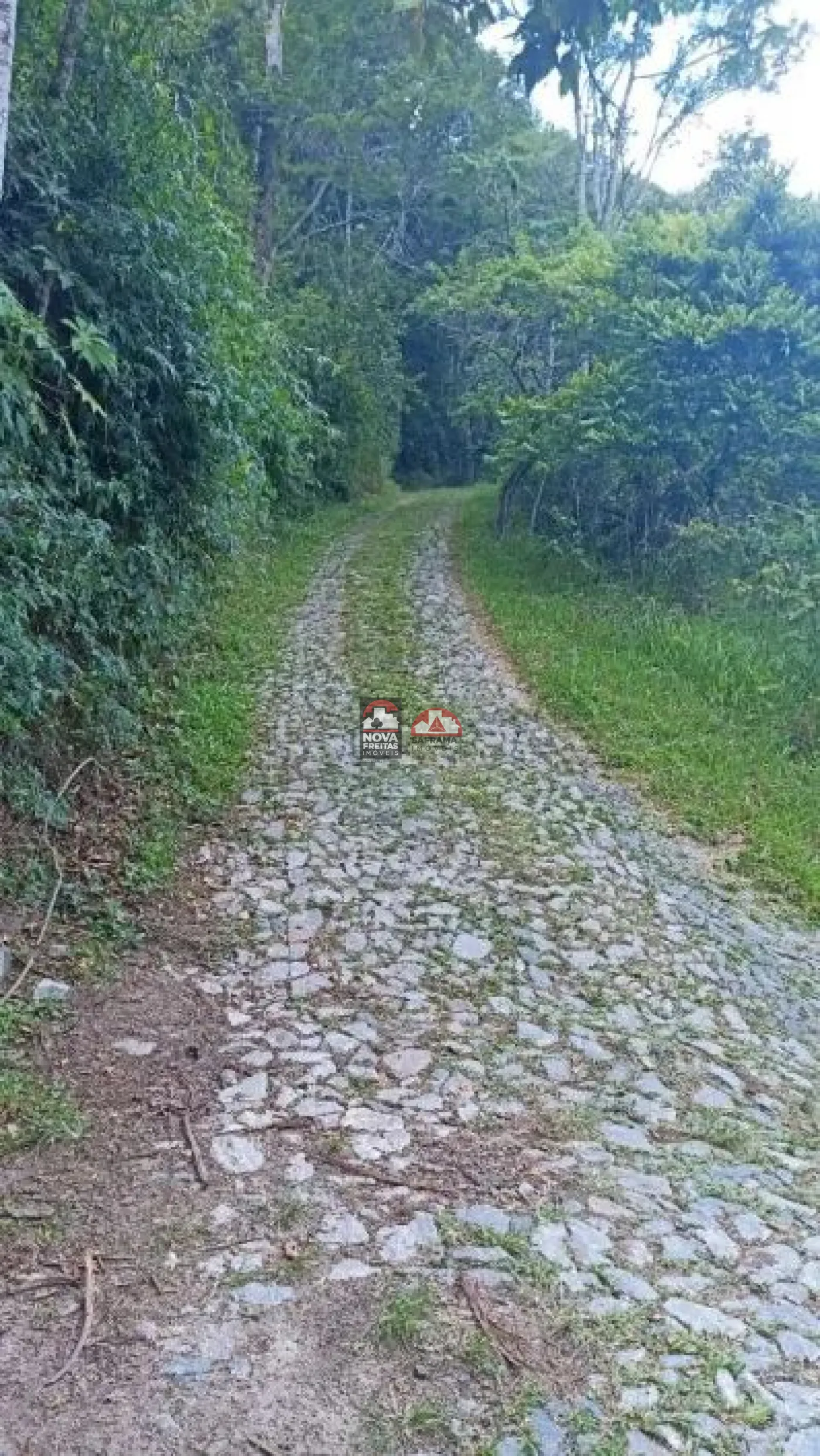 Comprar Rural / Sítio em Paraibuna R$ 2.700.000,00 - Foto 44