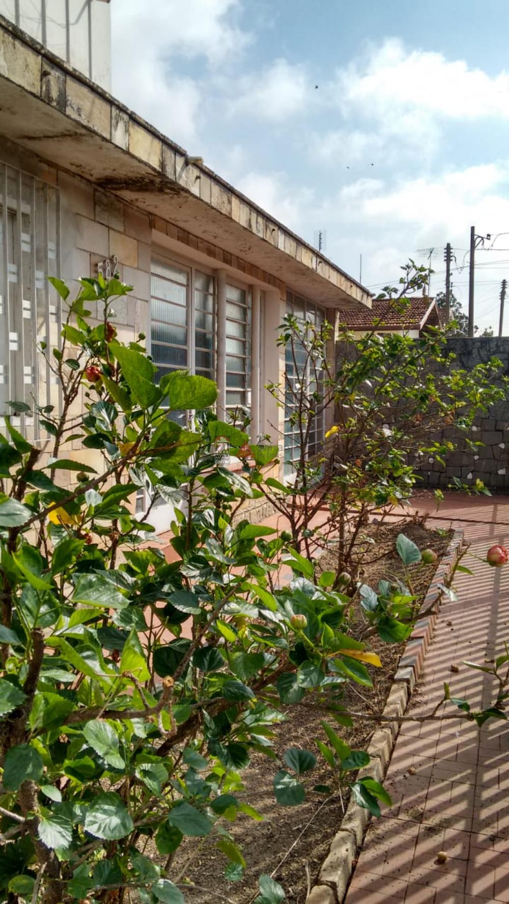 Comprar Casa / Padrão em Pindamonhangaba apenas R$ 450.000,00 - Foto 12 Comprar Casa / Padrão em Pindamonhangaba apenas R$ 450.000,00 - Foto 12