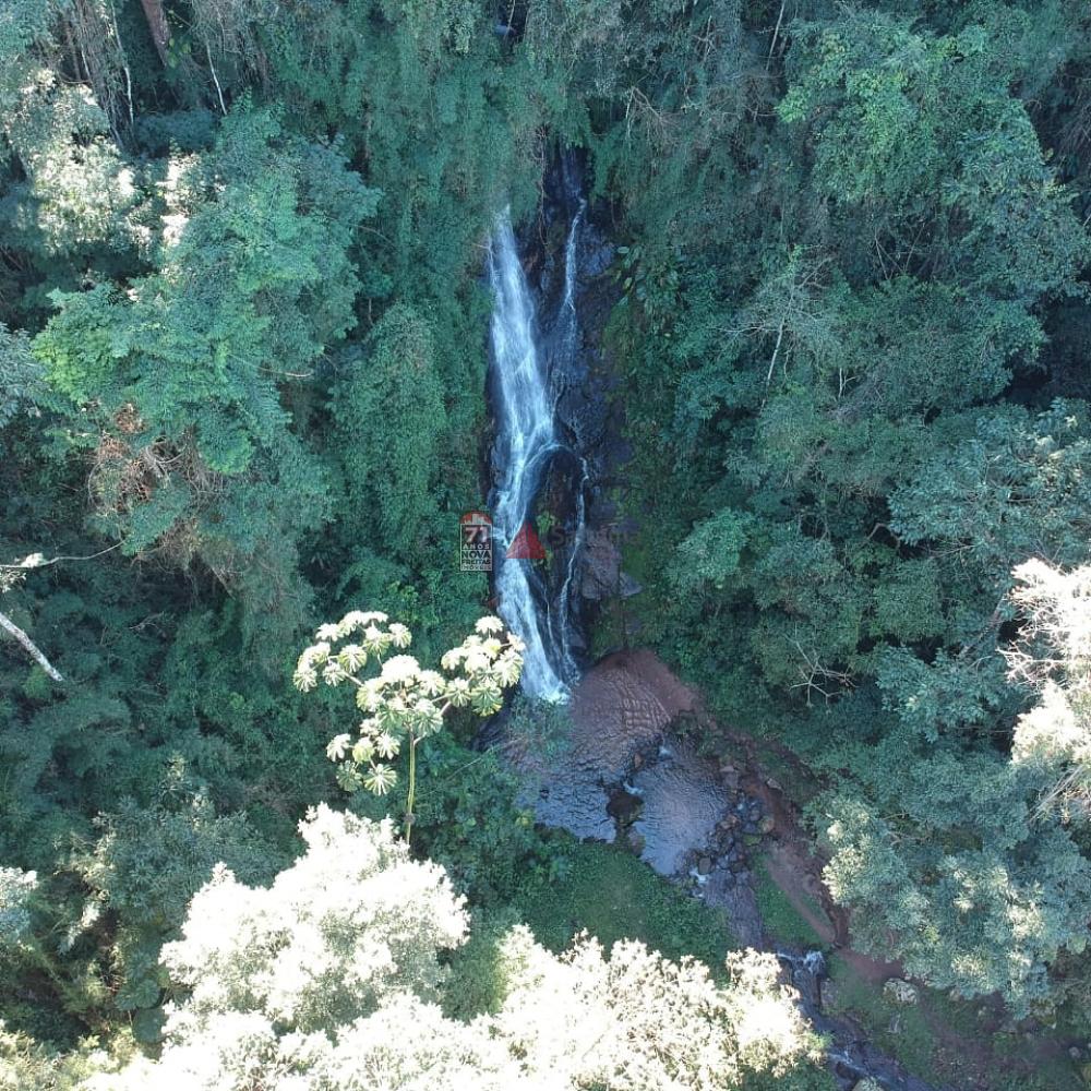 Comprar Rural / Sítio em Taubaté apenas R$ 980.000,00 - Foto 1 Comprar Rural / Sítio em Taubaté apenas R$ 980.000,00 - Foto 1