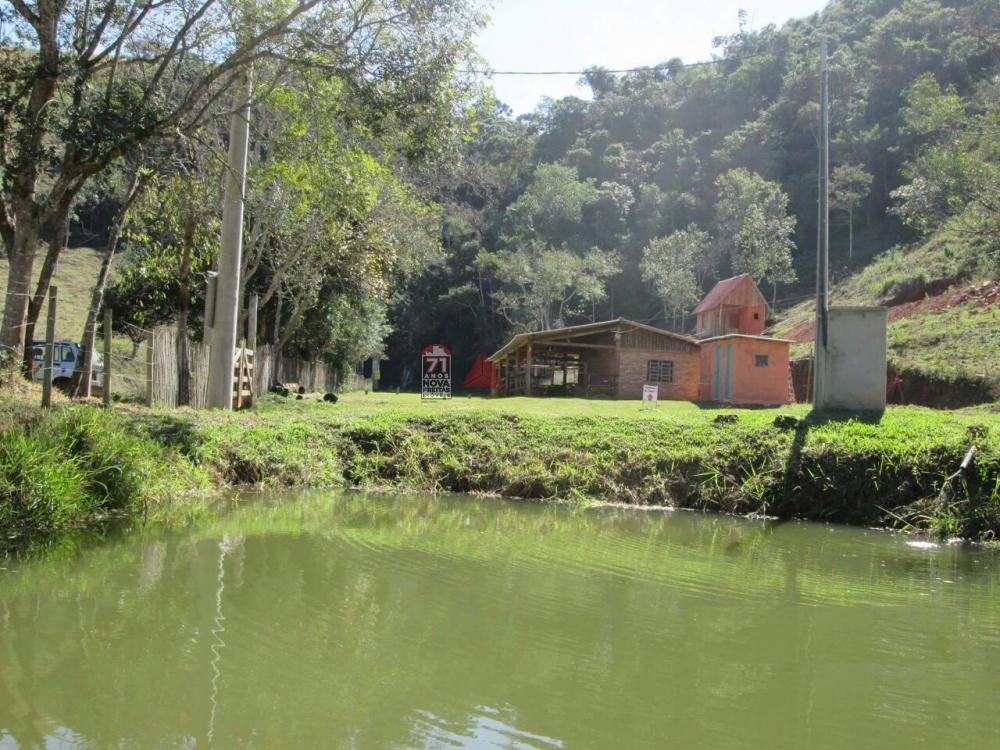 Comprar Rural / Sítio em Taubaté apenas R$ 980.000,00 - Foto 8 Comprar Rural / Sítio em Taubaté apenas R$ 980.000,00 - Foto 8