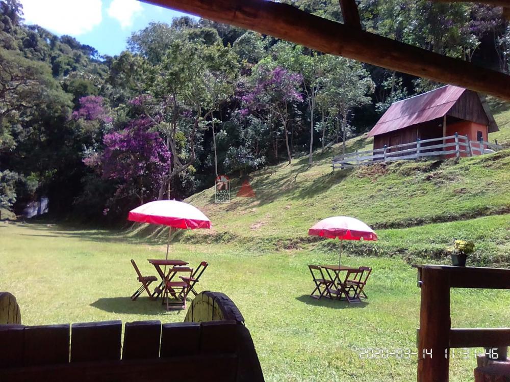 Comprar Rural / Sítio em Taubaté apenas R$ 980.000,00 - Foto 5 Comprar Rural / Sítio em Taubaté apenas R$ 980.000,00 - Foto 5