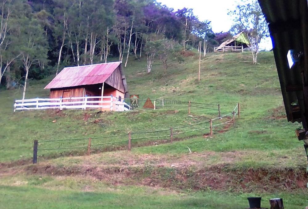 Comprar Rural / Sítio em Taubaté apenas R$ 980.000,00 - Foto 4 Comprar Rural / Sítio em Taubaté apenas R$ 980.000,00 - Foto 4