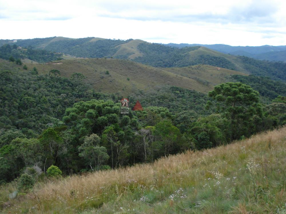 Comprar Casa / Sobrado em Condomínio em Campos do Jordão R$ 2.200.000,00 - Foto 17 Comprar Casa / Sobrado em Condomínio em Campos do Jordão R$ 2.200.000,00 - Foto 17