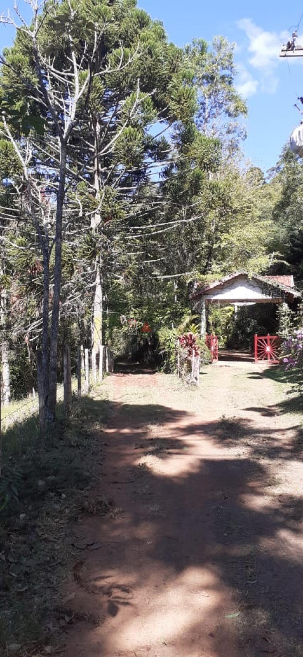 Comprar Rural / Chácara em Santo Antônio do Pinhal R$ 800.000,00 - Foto 2