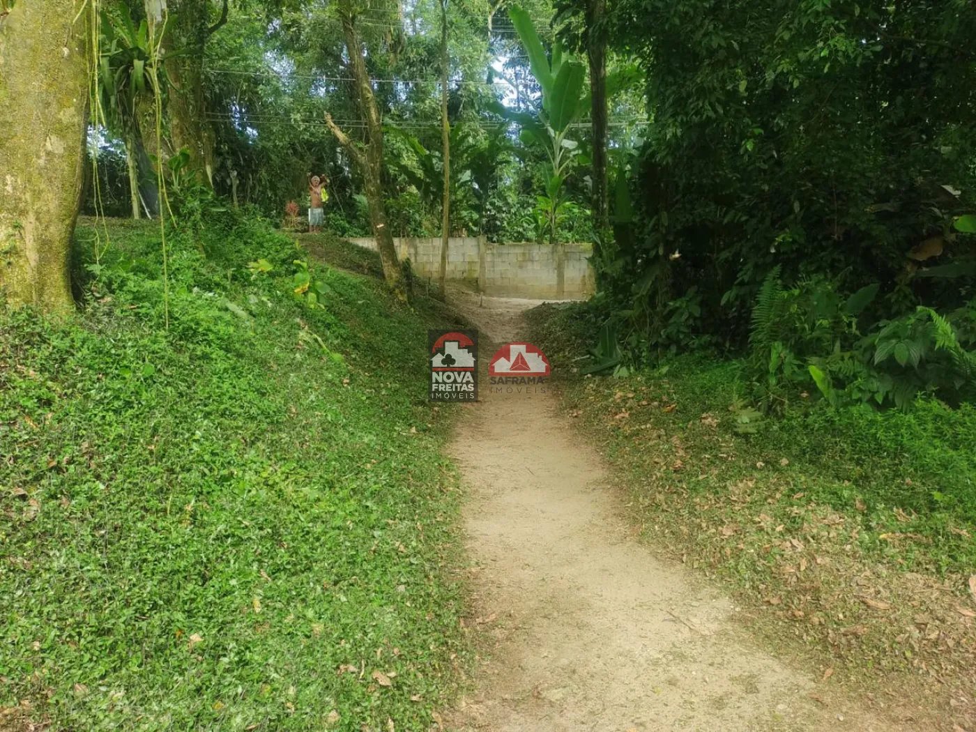 Terreno / Padrão em Ubatuba 