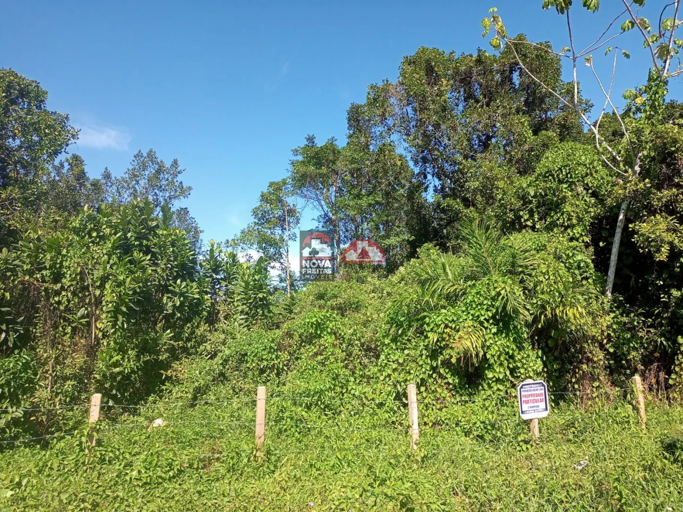 Terreno / Padrão em Caraguatatuba 