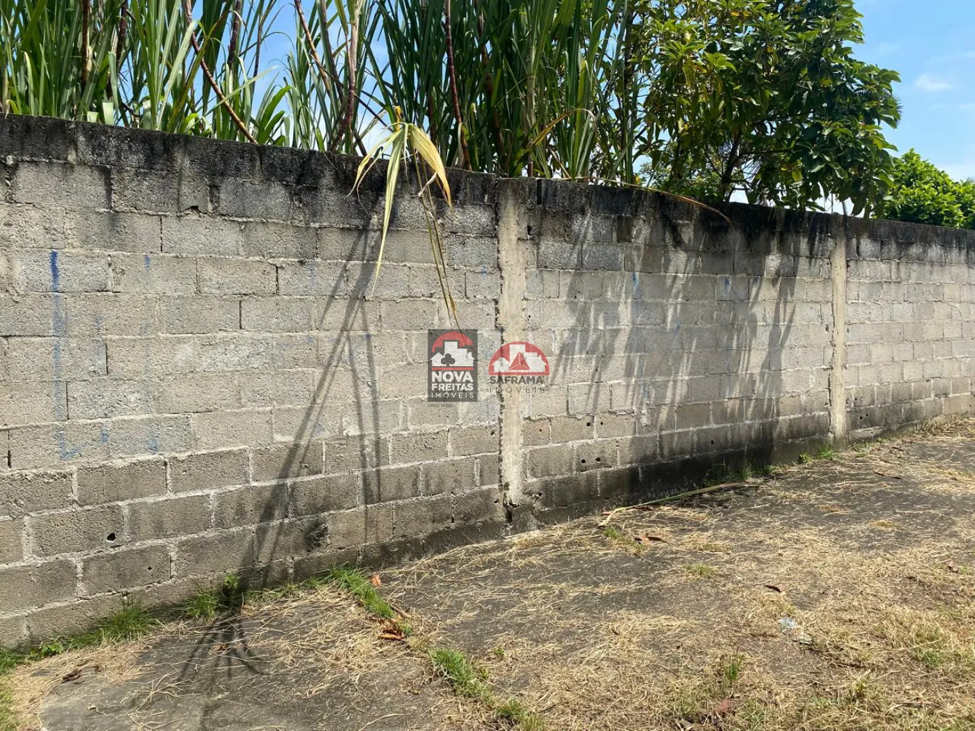 Comprar Terreno / Padrão em Caraguatatuba R$ 320.000,00 - Foto 4