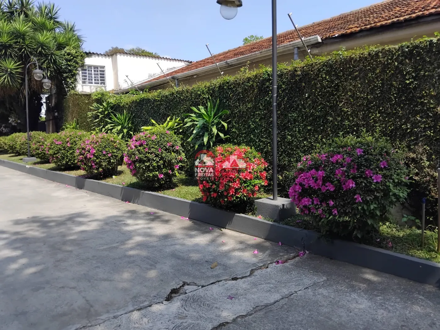 Alugar Apartamento / Padrão em São José dos Campos R$ 3.200,00 - Foto 3