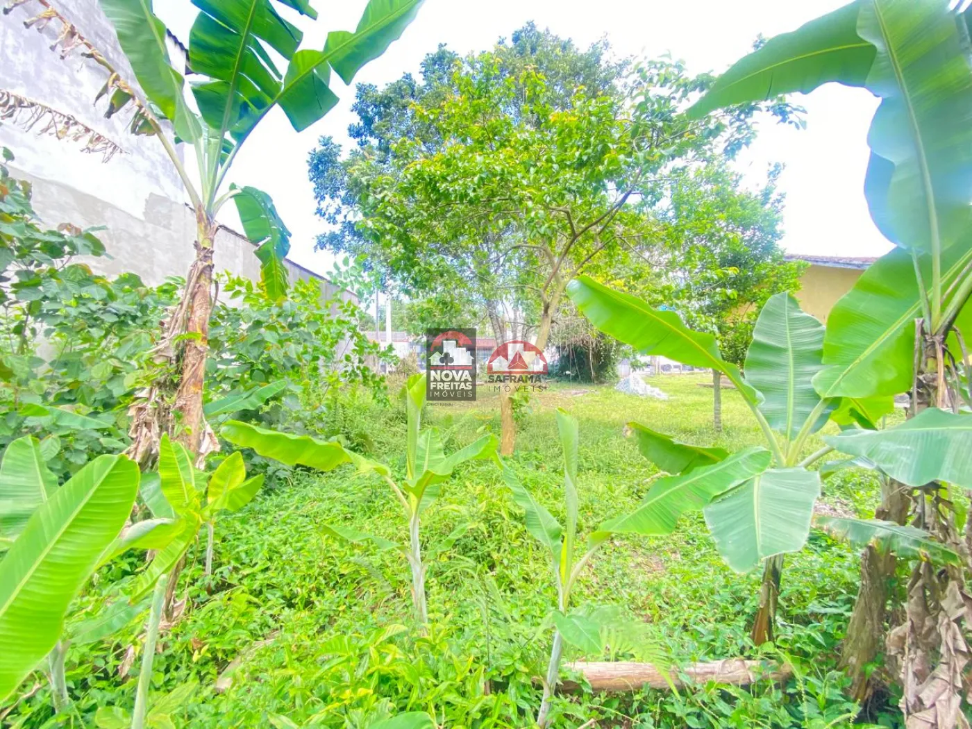 Comprar Terreno / Padrão em Caraguatatuba R$ 260.000,00 - Foto 2