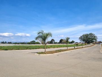 imagem 4 - Terreno a Venda no Visconde da Palmeira - Crispim em Pindamonhangaba/SP imagem 4 - Terreno a Venda no Visconde da Palmeira - Crispim em Pindamonhangaba/SP