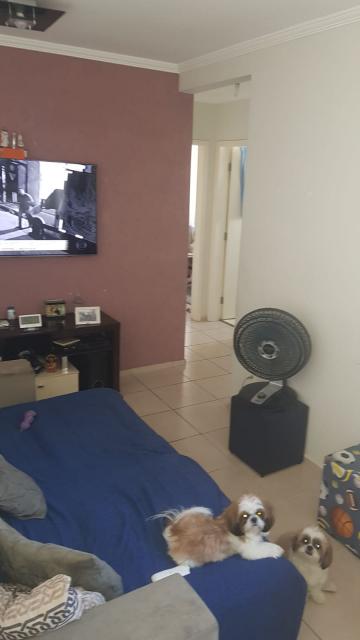Alugar Apartamento / Padrão em São José dos Campos. apenas R$ 780,00