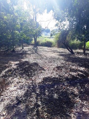 imagem 1 - Terreno - Área imagem 1 - Terreno - Área
