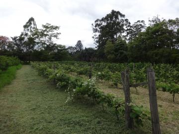 Comprar Rural / Sítio em Pindamonhangaba R$ 1.400.000,00 - Foto 4 Comprar Rural / Sítio em Pindamonhangaba R$ 1.400.000,00 - Foto 4
