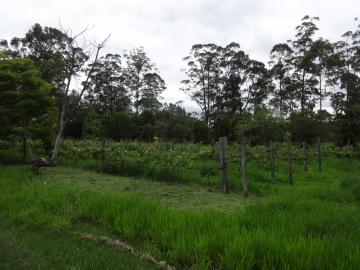 Comprar Rural / Sítio em Pindamonhangaba R$ 1.400.000,00 - Foto 5 Comprar Rural / Sítio em Pindamonhangaba R$ 1.400.000,00 - Foto 5
