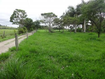 Comprar Rural / Sítio em Pindamonhangaba R$ 1.400.000,00 - Foto 6 Comprar Rural / Sítio em Pindamonhangaba R$ 1.400.000,00 - Foto 6