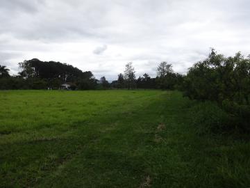 Comprar Rural / Sítio em Pindamonhangaba R$ 1.400.000,00 - Foto 11 Comprar Rural / Sítio em Pindamonhangaba R$ 1.400.000,00 - Foto 11