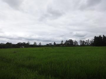 Comprar Rural / Sítio em Pindamonhangaba R$ 1.400.000,00 - Foto 13 Comprar Rural / Sítio em Pindamonhangaba R$ 1.400.000,00 - Foto 13