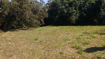 imagem 5 - Terreno - Área imagem 5 - Terreno - Área