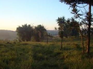 imagem 3 - Terreno - Área imagem 3 - Terreno - Área