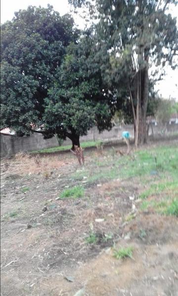 imagem 2 - Terreno - Padrão imagem 2 - Terreno - Padrão