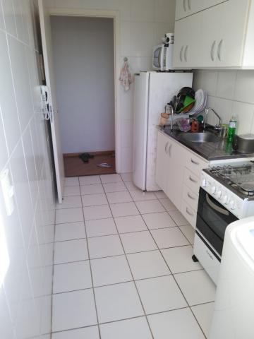 imagem 3 - Apartamento - Padrão imagem 3 - Apartamento - Padrão
