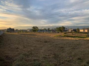 Alugar Terreno / Área em Pindamonhangaba. apenas R$ 11.311.978,50