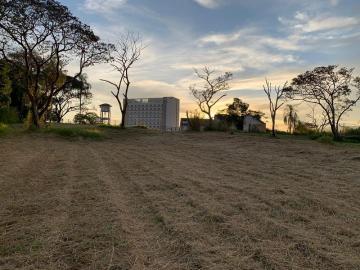 imagem 4 - Terreno - Área imagem 4 - Terreno - Área