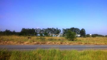imagem 1 - Terreno - Área imagem 1 - Terreno - Área
