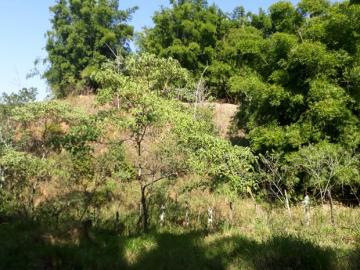 imagem 1 - Terreno - Área imagem 1 - Terreno - Área