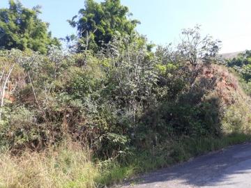 imagem 3 - Terreno - Área imagem 3 - Terreno - Área