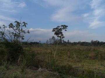 imagem 2 - Terreno - Área imagem 2 - Terreno - Área