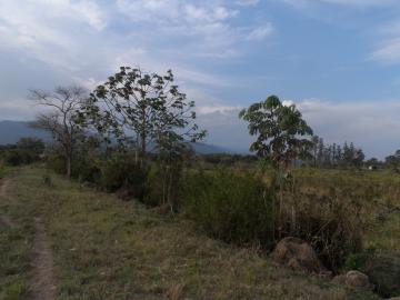 imagem 3 - Terreno - Área imagem 3 - Terreno - Área