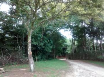 imagem 3 - Rural - Sítio imagem 3 - Rural - Sítio