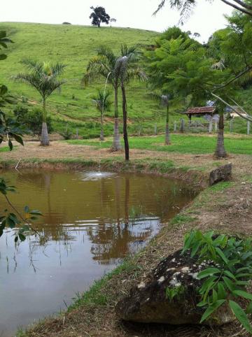 imagem 5 - Rural - Sítio imagem 5 - Rural - Sítio