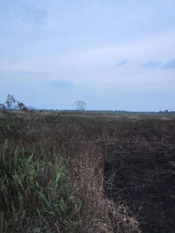 imagem 4 - Terreno - Área imagem 4 - Terreno - Área