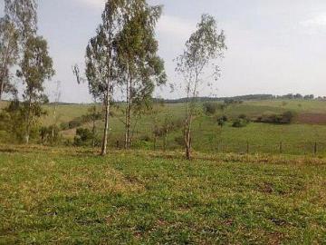 Paulinia Betel Rural Venda R$12.000.000,00 1 Dormitorio 3 Vagas Area do terreno 72000.00m2 Paulinia Betel Rural Venda R$12.000.000,00 1 Dormitorio 3 Vagas Area do terreno 72000.00m2