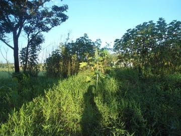 imagem 4 - Terreno - Padrão imagem 4 - Terreno - Padrão