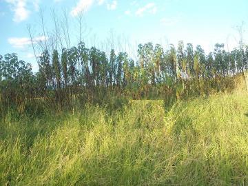 imagem 4 - Terreno - Padrão imagem 4 - Terreno - Padrão
