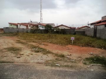 imagem 1 - Terreno Espetacular de 993m² para Seu Projeto de Vida ou Investimento! imagem 1 - Terreno Espetacular de 993m² para Seu Projeto de Vida ou Investimento!